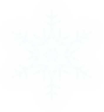 Winter Snowflake Illustration